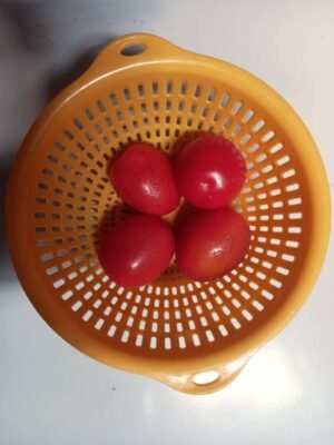 Strainer Basket